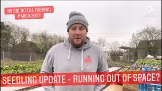 SEEDLING UPDATE MARCH - no dig/no till farming | spring 2022