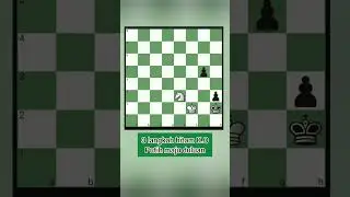 problem catur //hanya dengan KUDA//chess 3 move die with horse