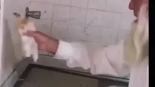 Что делать, когда приехала СЭС!