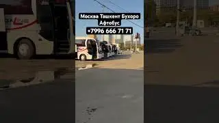 #ташкент #automobile #автобус #дальнобой #avtobus #uzbekistancapital #топ #тикток #такси