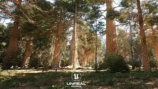 [4K] Imagining THE WITCHER 4 - Unreal Engine 5 - Open World Graphics!
