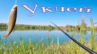 Риболов на уклей и бабушки през пролетта.4К.Субтитри.