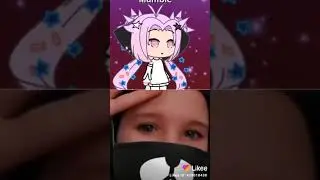 Из Лайки