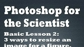 3 ways to resize an image in Photoshop when building a figure