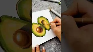 Avocado 🥑 Alcohol marker illustration / Realistic drawing /Subscribe 💖 #alcoholmarkers #foodart