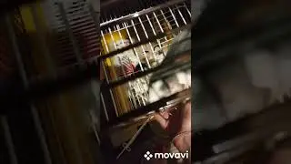 музыка для кайфа