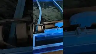 Ленка малёк #ловильсьрыбказолотая