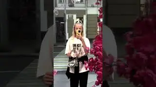 🌸🌸🌸#красота #интересно #рек # #musicgenre #pomeranian