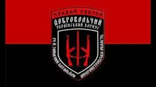 Інтерв'ю з бійцем ДУК Правий Сектор(ССО ЗСУ)
