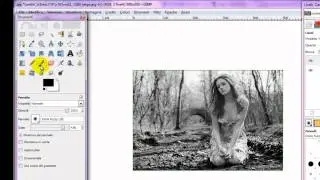 TUTORIAL GIMP: Immagine in bianco e nero con soggetto principale a colori
