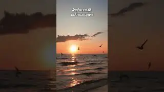 Фейковый собеседник