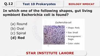 PROKARYOTES | FREE LECTURE 1 | NMDCAT 2021 | STAR INSTITUTE | URDU/HINDI |