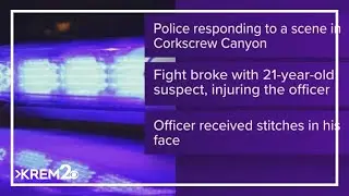 Spokane Tribal Police officer injured in struggle; suspect apprehended after several taser deploymen