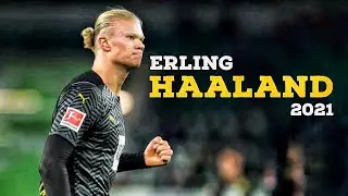 Erling Haaland 2021 - Insane Skills & Goals | HD