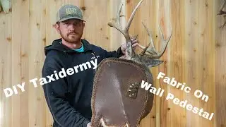 DIY Taxidermy: Fabric Installation on Wall Pedestal