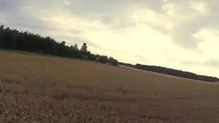 Oh deer
