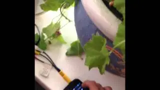 BASSBOOSTED.Смотреть в наушниках