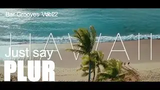 Bar Grooves Deep House  - Vol. 2 - Just say PLUR