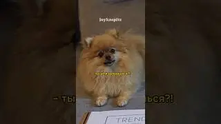 А вообще брать неизвестные посылки нельзя.. Но от @petshopru и @trendybox_spb можно))
