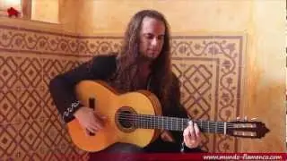 Amir John Haddad, La Jara (Bulerias)