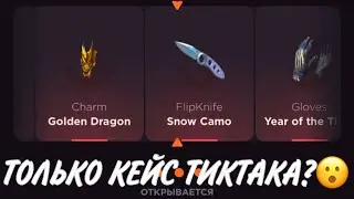 ПРОВЕРКА НА ЧЕСТНОСТЬ GGSTANDOFF / ОТКРЫВАЮ ТОЛЬКО КЕЙС ТАЙНОЕ?!😱