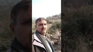 M p dhakad