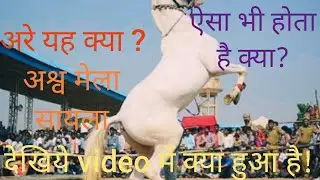 Horse-mare dance in sayla animal fair.superhit dance 2017.घोड़ा घोड़ी डांस सायला पशु मेला मारवाड़ी