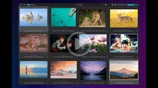 Navigating your PhotoLibrary in DxO PhotoLab 9