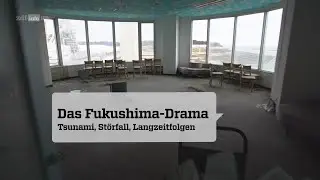 Das Fukushima Drama   Tsunami, Störfall, Langzeitfolgen