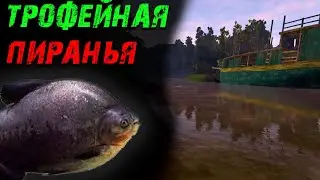 Fishing Planet PS4 # Трофейная пиранья / Коллекции Fishing Planet / река Маррон