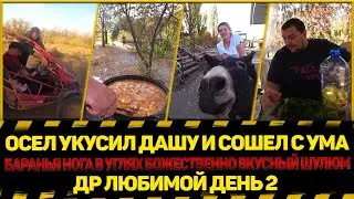 ОСЕЛ УКУСИЛ ДАШУ И СОШЕЛ С УМА | БАРАНЬЯ НОГА В УГЛЯХ БОЖЕСТВЕННО ВКУСНЫЙ ШУЛЮМ | ДР ЛЮБИМОЙ ДЕНЬ 2