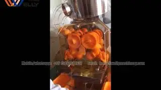 orange juicer machine, pomegranate juice making machine