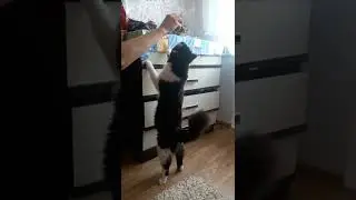 Конфету не дала, хоть фантик обслюнявлю! 