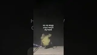 Заброс в туман - Новое видео о ловле карпа уже на канале!☝🏻 #флэтфидер #carpfishing #ffem #carp