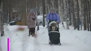 МОРОЗЫ НЕ СДАЮТСЯ