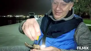 Уличная ЕДА & Турецкий ФастФуд Стамбул Турция 