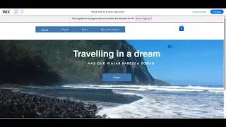 Website creation and design