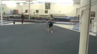 Victoria and Samuel - Level 7 MXP