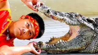 Crocodile Show From Pattaya Thailand 2018 *FULL SHOW & EXTREMELY DANGEROUS*