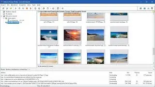 Search the web for pictures with Extreme Picture Finder