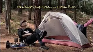 Menikmati Udara Segar Di Hutan Pinus Bersama Kopi Hitam Saat Cuaca Panas