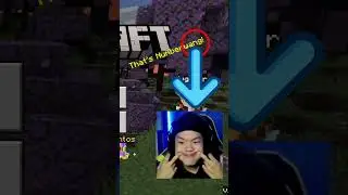 Ale Wang Referenciado En Minecraft #humor