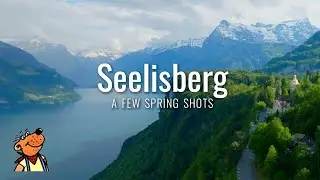 Spring above Seelisberg 🇨🇭