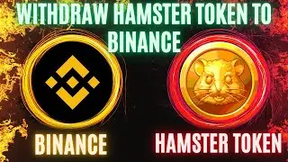 Withdraw Hamster Kombat Token To Binance - Step By Step Guide