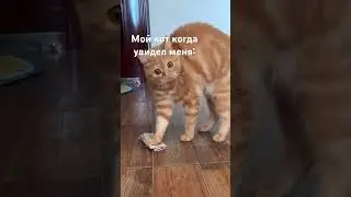 Видео не мое , идея моя , надпись моя