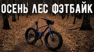 Первая велопрогулка на фэтбайке в 2024