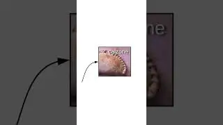 The Cube Rule of Food 🌭=🌮