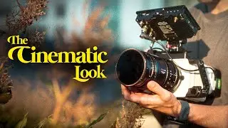 In Search of THE 'CINEMATIC' LOOK | Anamorphic on Gimbal Review