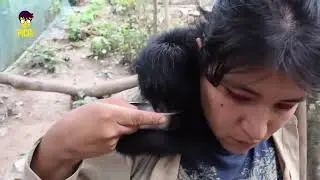MAMÁS MONOS
