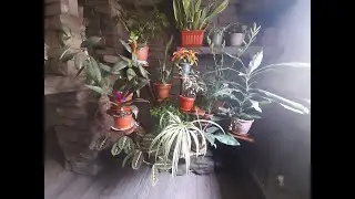 Подставка под цветы,при участии Арт бетона  !